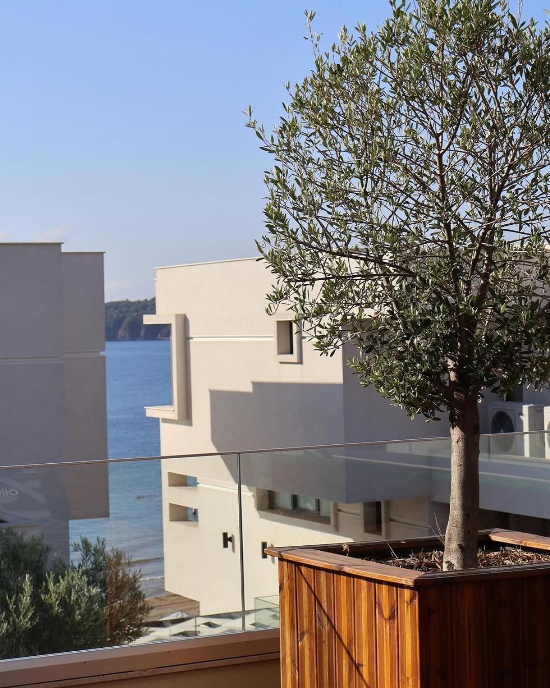 Olive Villas Beach Hotel Созополь Екстер'єр фото